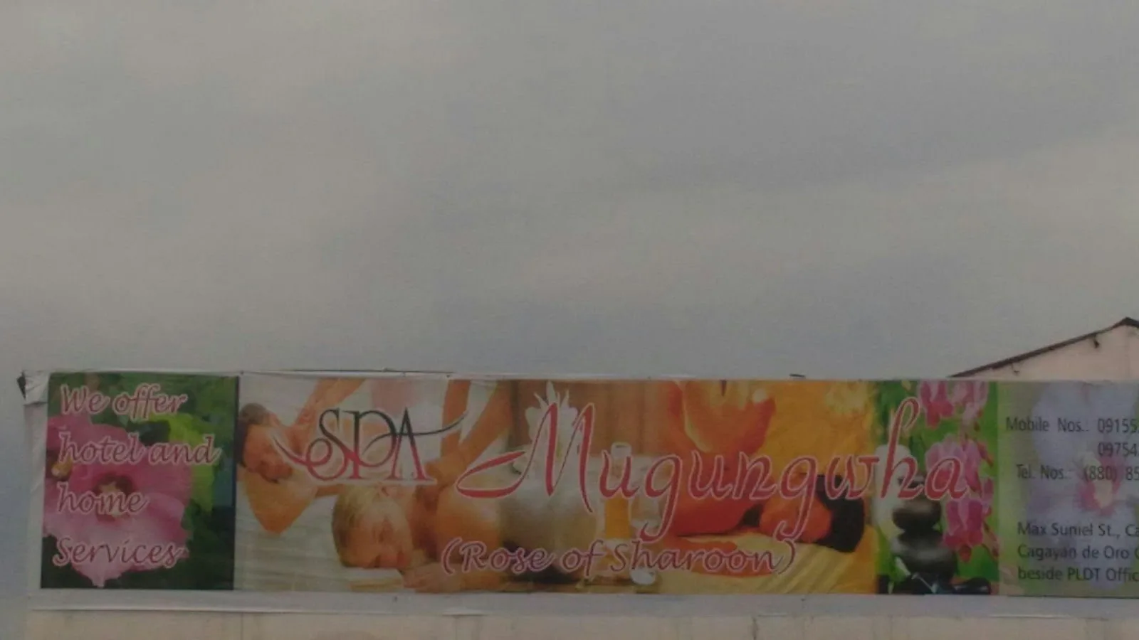 1585.Spa Mugungwha Marketmind Local