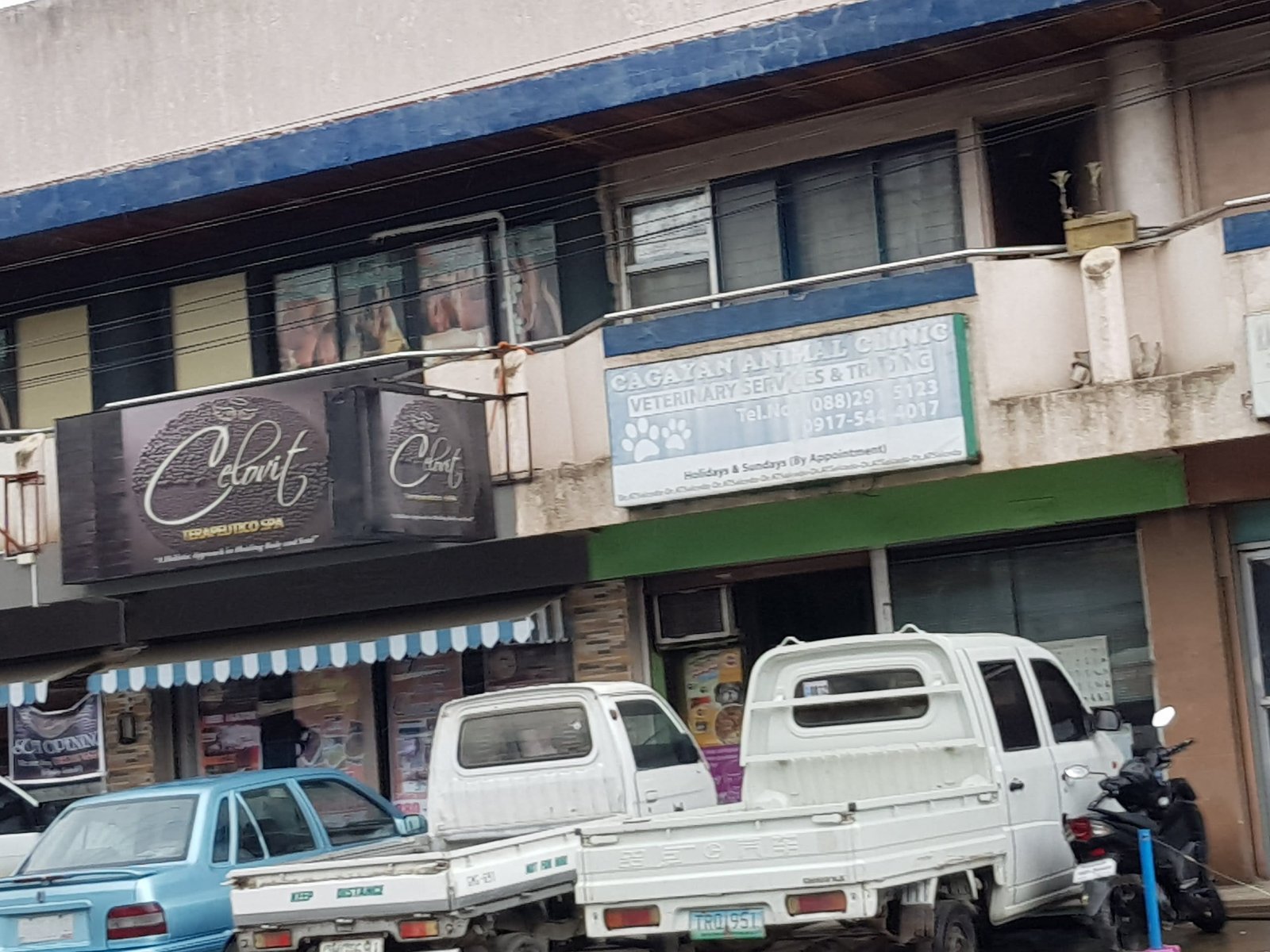 1656.Celovit Terapuetico Spa scaled Marketmind Local