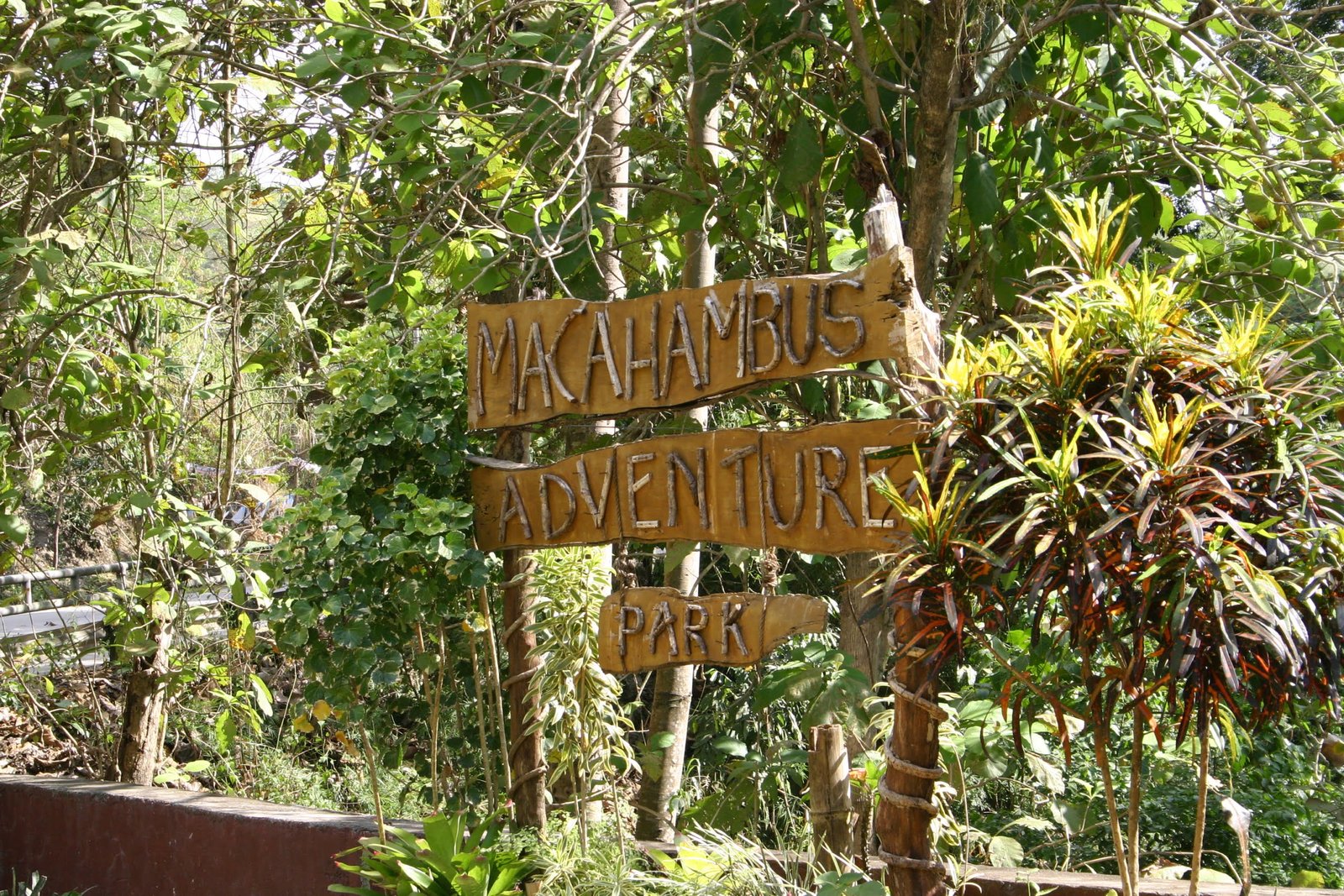 2706.Macahambus Adventure Park scaled Marketmind Local