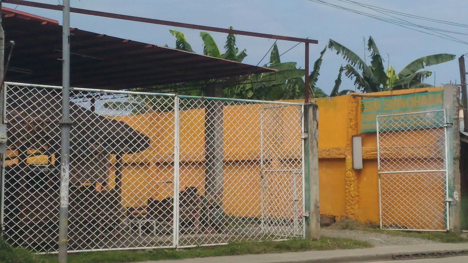 8441.Sun Shinohara.Sun Shinohara 1 Marketmind Local