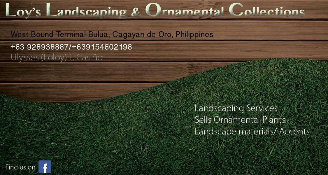 Copy of 3461.Loy s Landscaping and Ornamental Collection 1 Marketmind Local