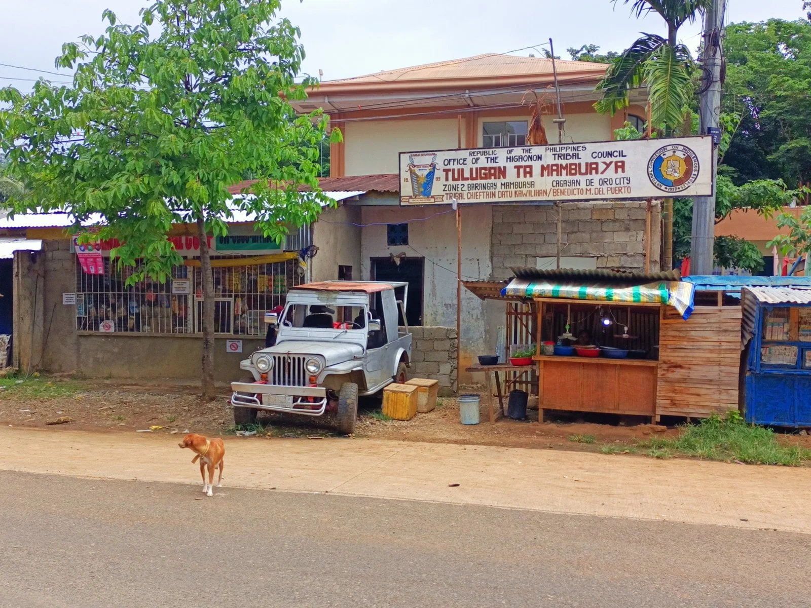 Copy of 3679.THE LEARNING CENTER OF THE IPs CHILDREN scaled 1 Marketmind Local
