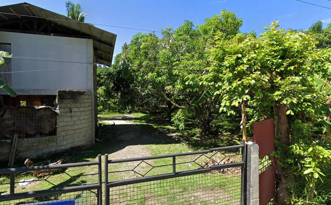 Copy of 7516.Chan Mango Farm 1 Marketmind Local