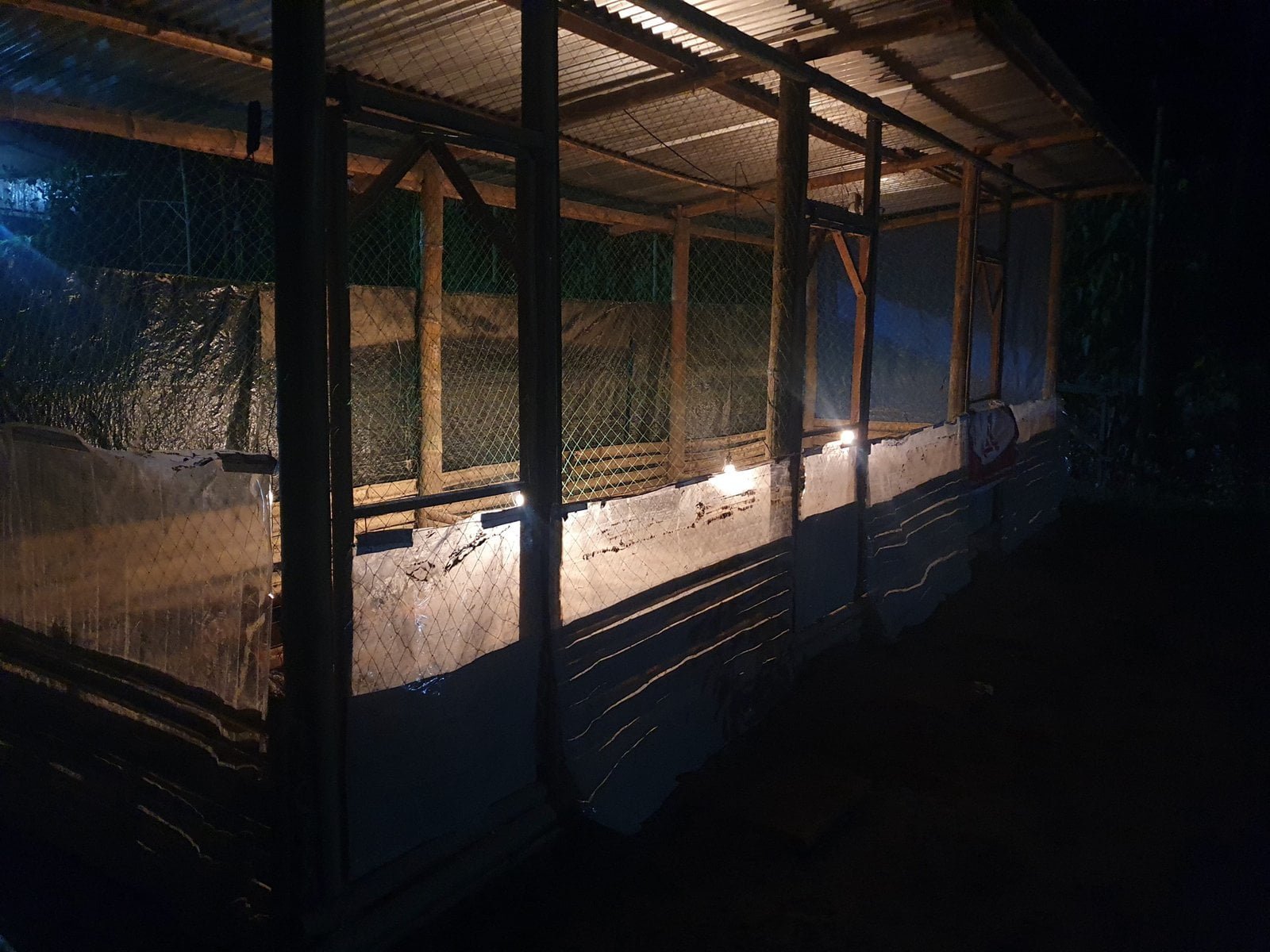 Copy of 7588.Netibo Manokan Hatchery scaled 1 Marketmind Local