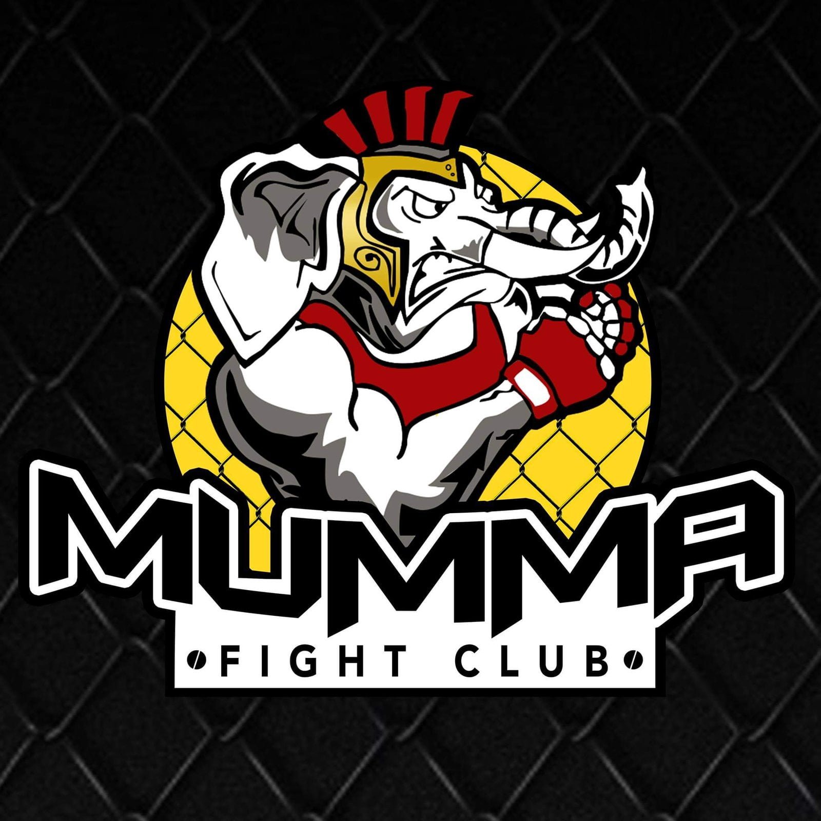 Copy of 7731.MUMMA Fight Club CDO 1 Marketmind Local