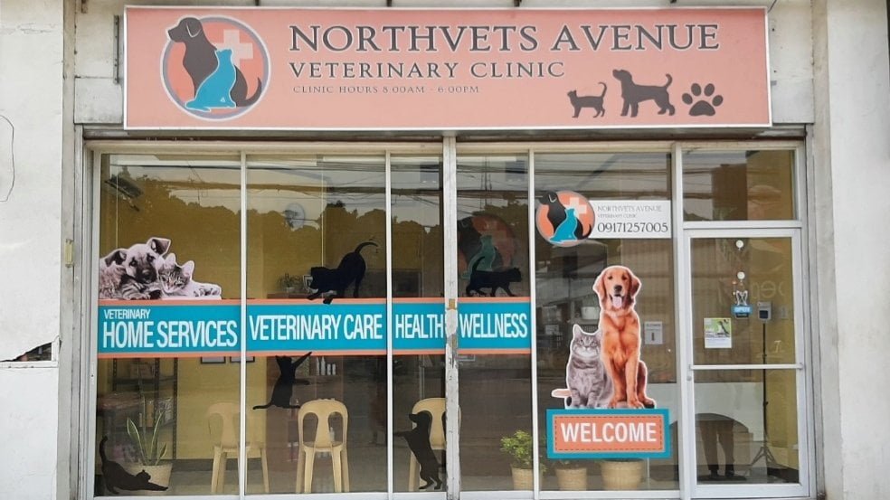 Copy of 9067.Northvets Avenue Veterinary Clinic 1 Marketmind Local