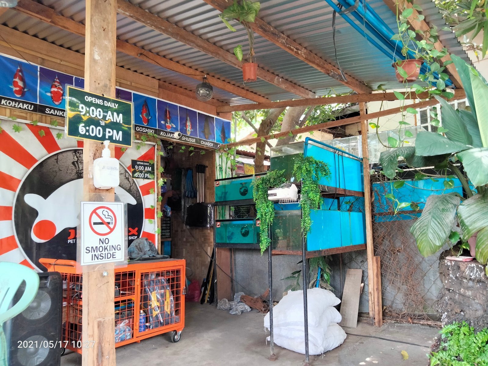 Copy of 9096.KOI JAMPAX Pet Store scaled 1 Marketmind Local