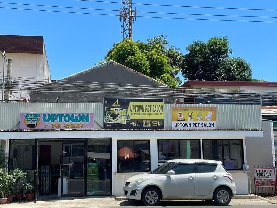 Copy of 9105.Uptown Pet Salon and Pet Shop 1 Marketmind Local