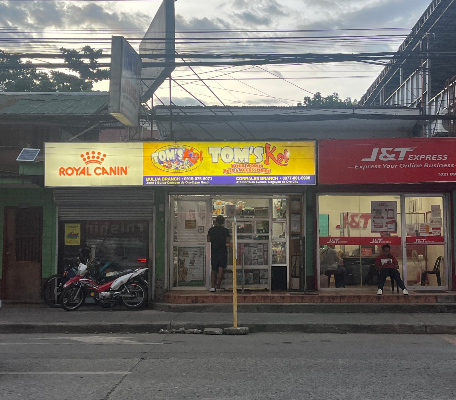 Copy of 9109.Tom s Koi Aqua World Pets and Accessories scaled 1 Marketmind Local