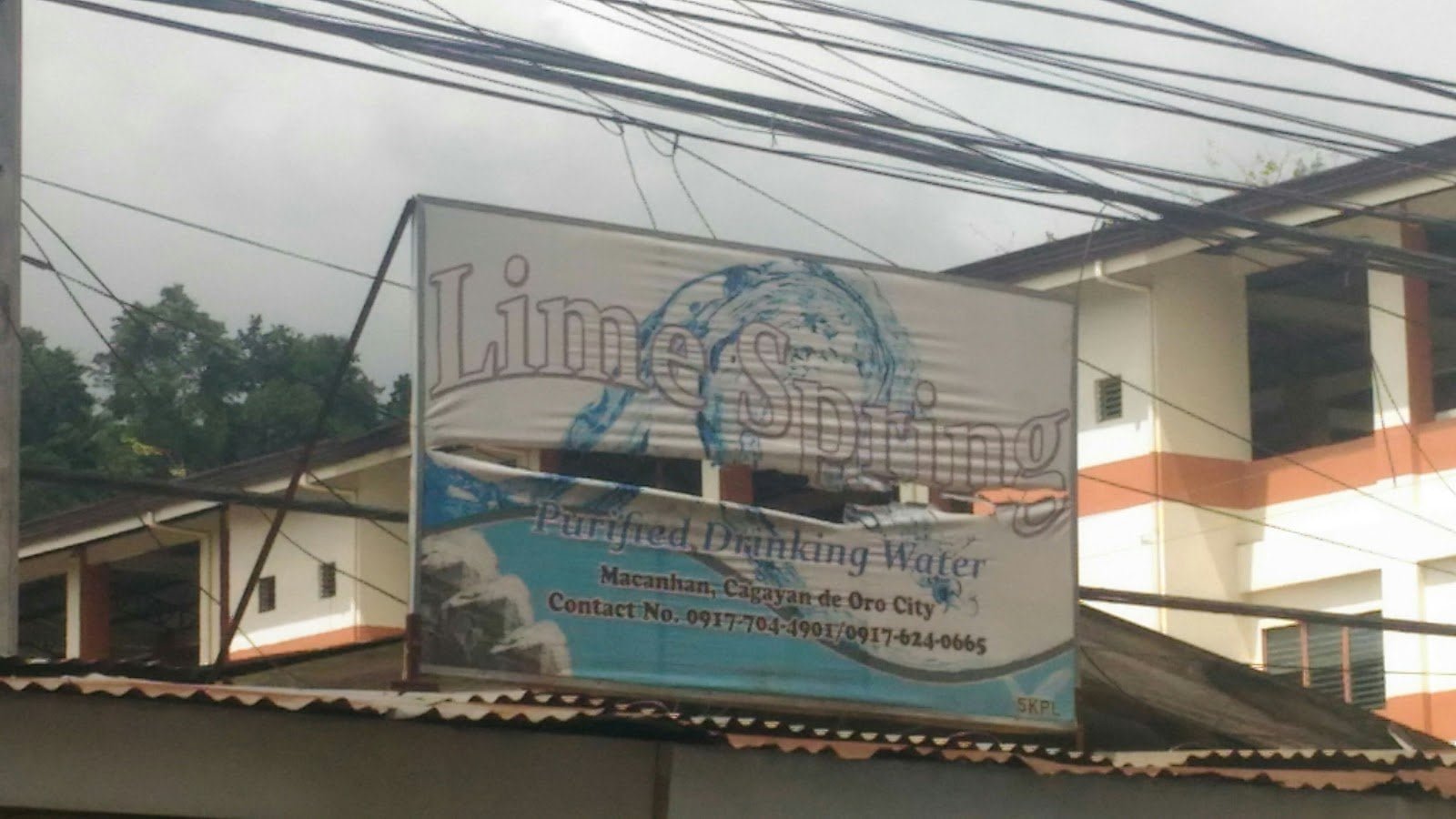 Copy of 9773.Lime Spring 1 Marketmind Local