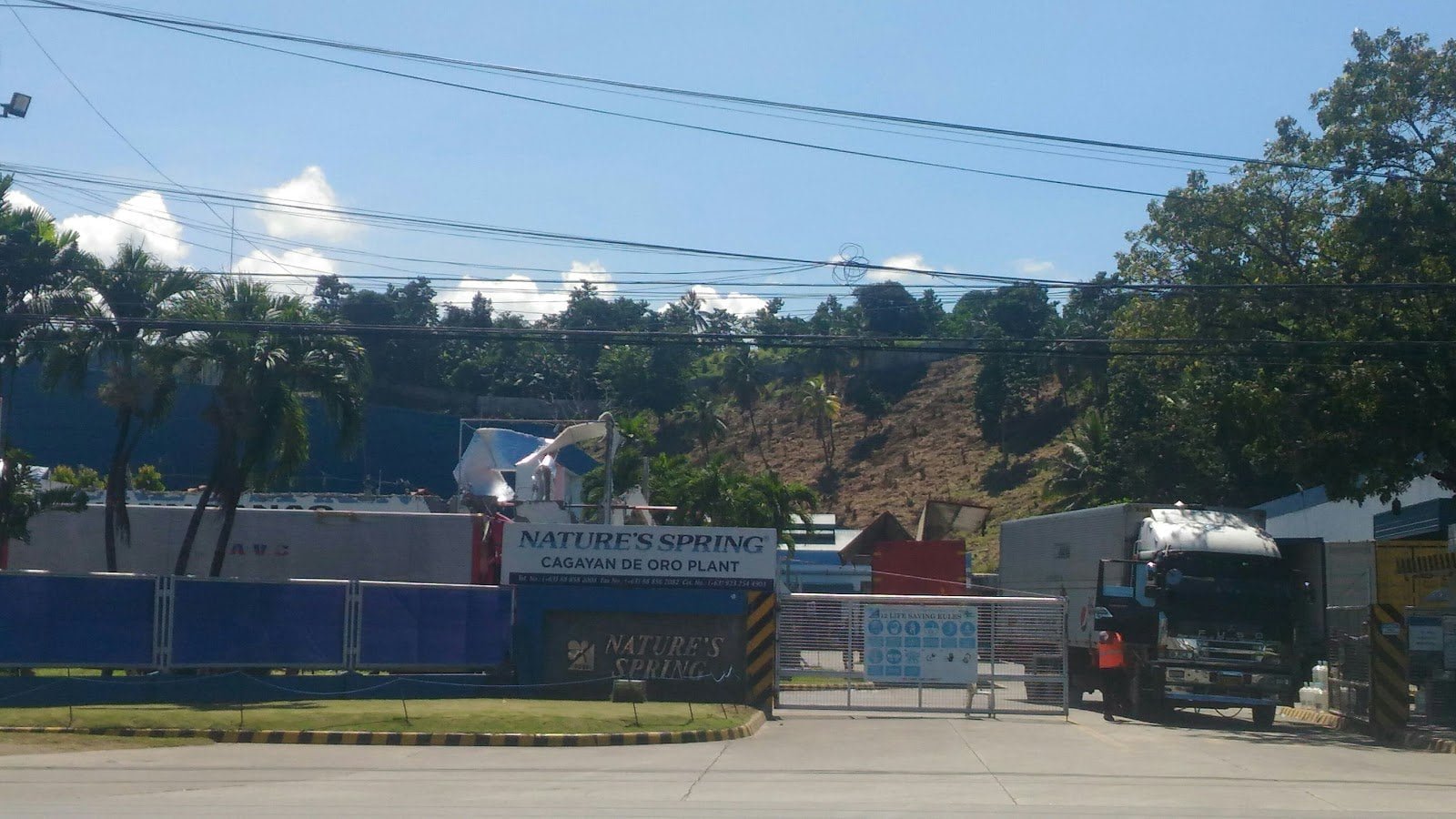 Copy of 9841.Nature s Spring 1 Marketmind Local