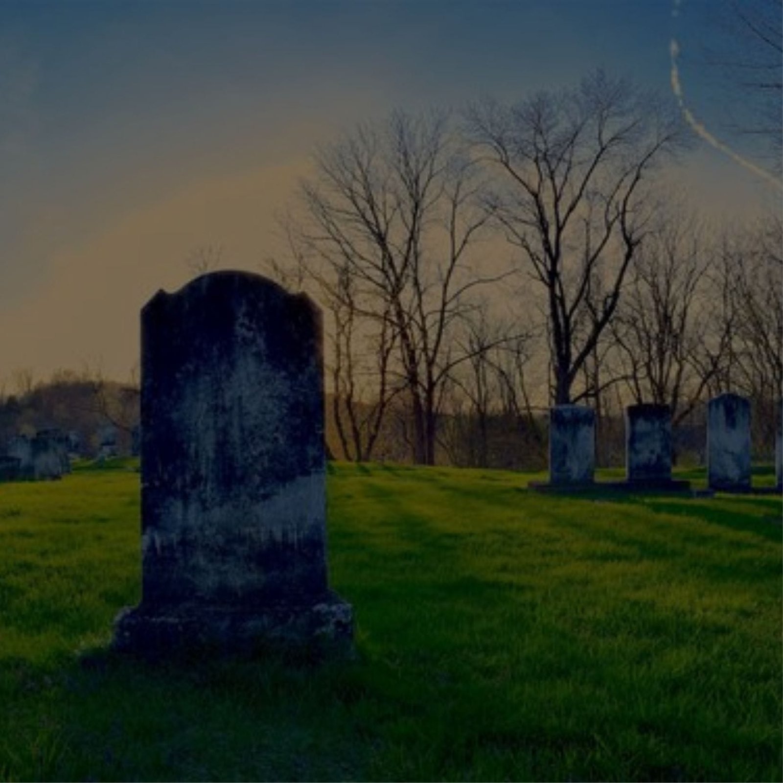 A cemetery with tombstones and trees in the background