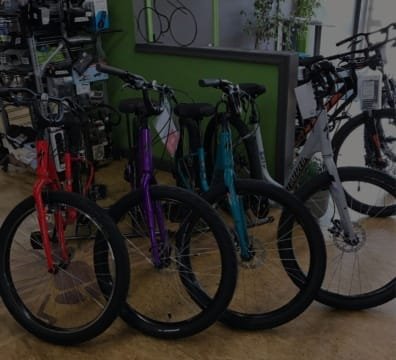 Store display of bikes, available for purchase