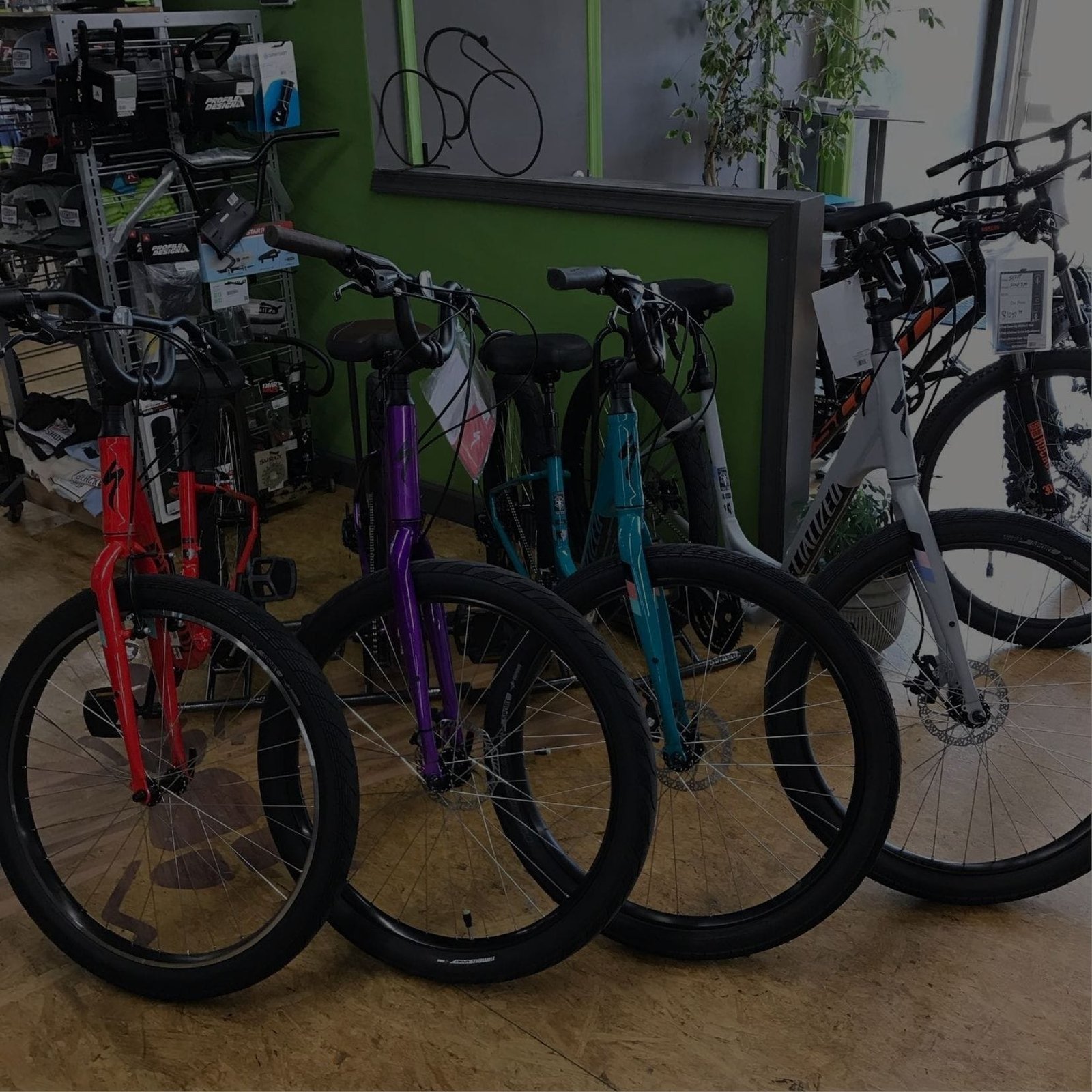 Store display of bikes, available for purchase