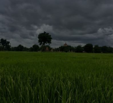 farm grass and trees in a field under a dark sky.