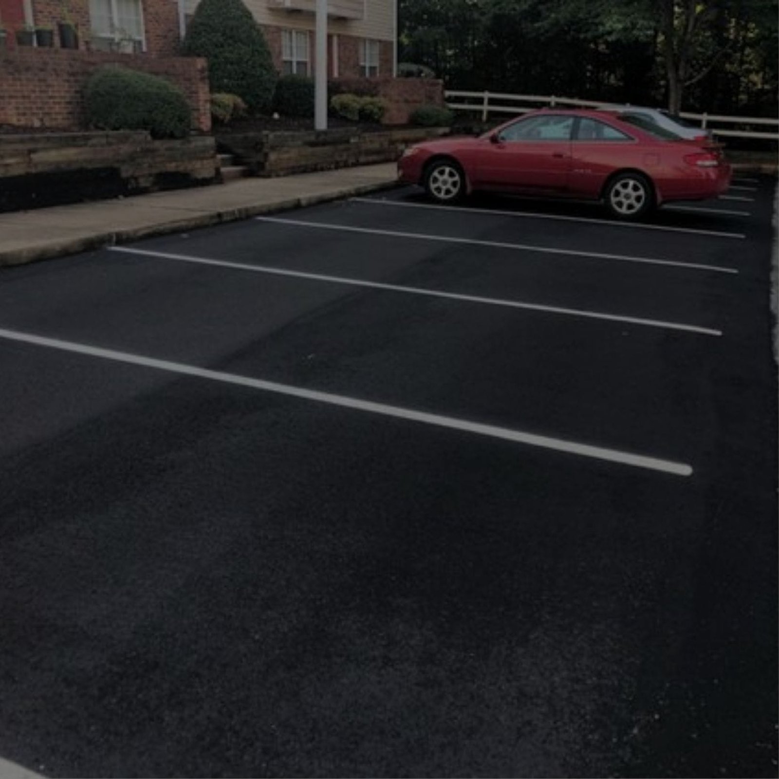 Two cars parked in a Free Parking lot