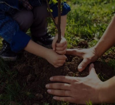 A child and an adult planting a tree together, creating a greener future