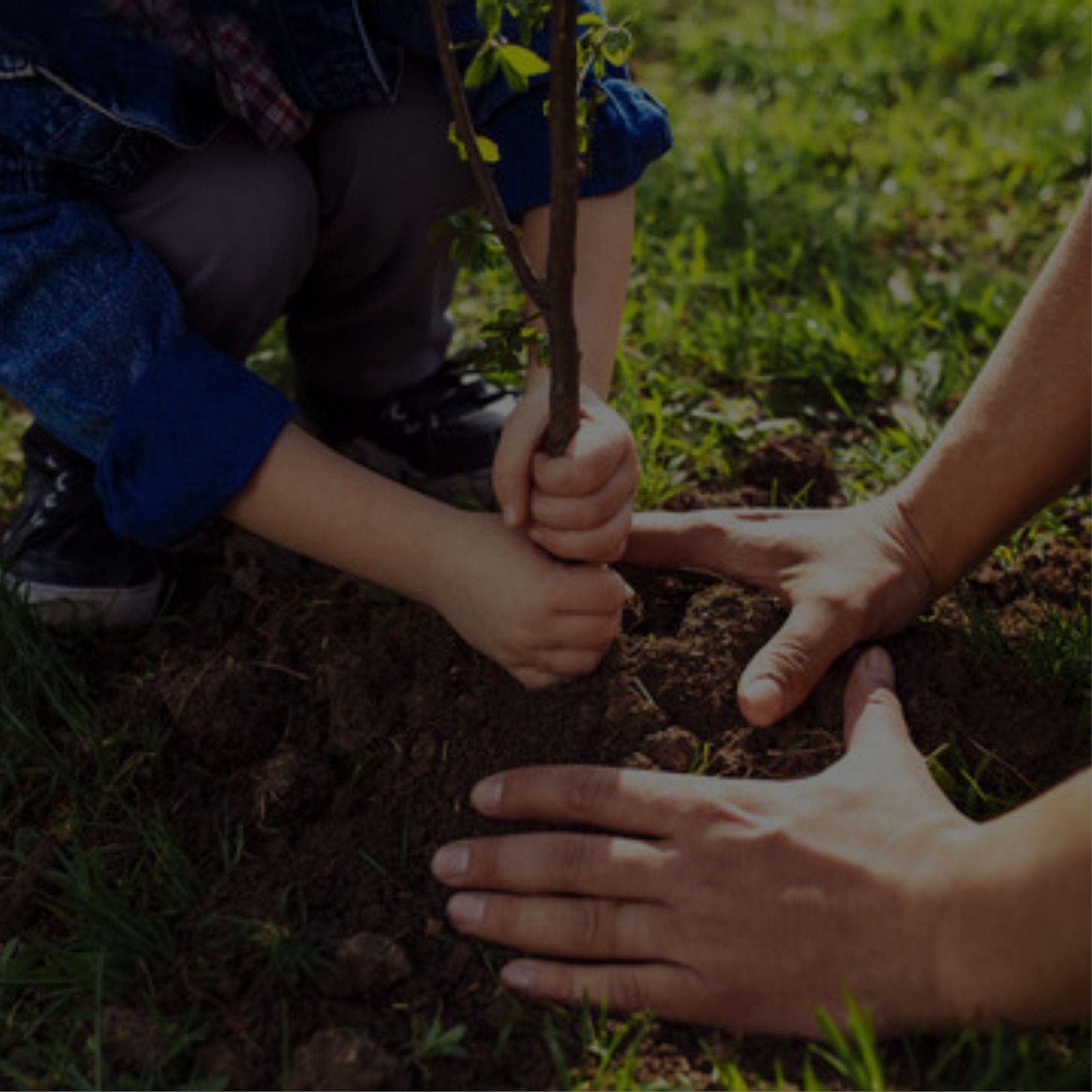 A child and an adult planting a tree together, creating a greener future