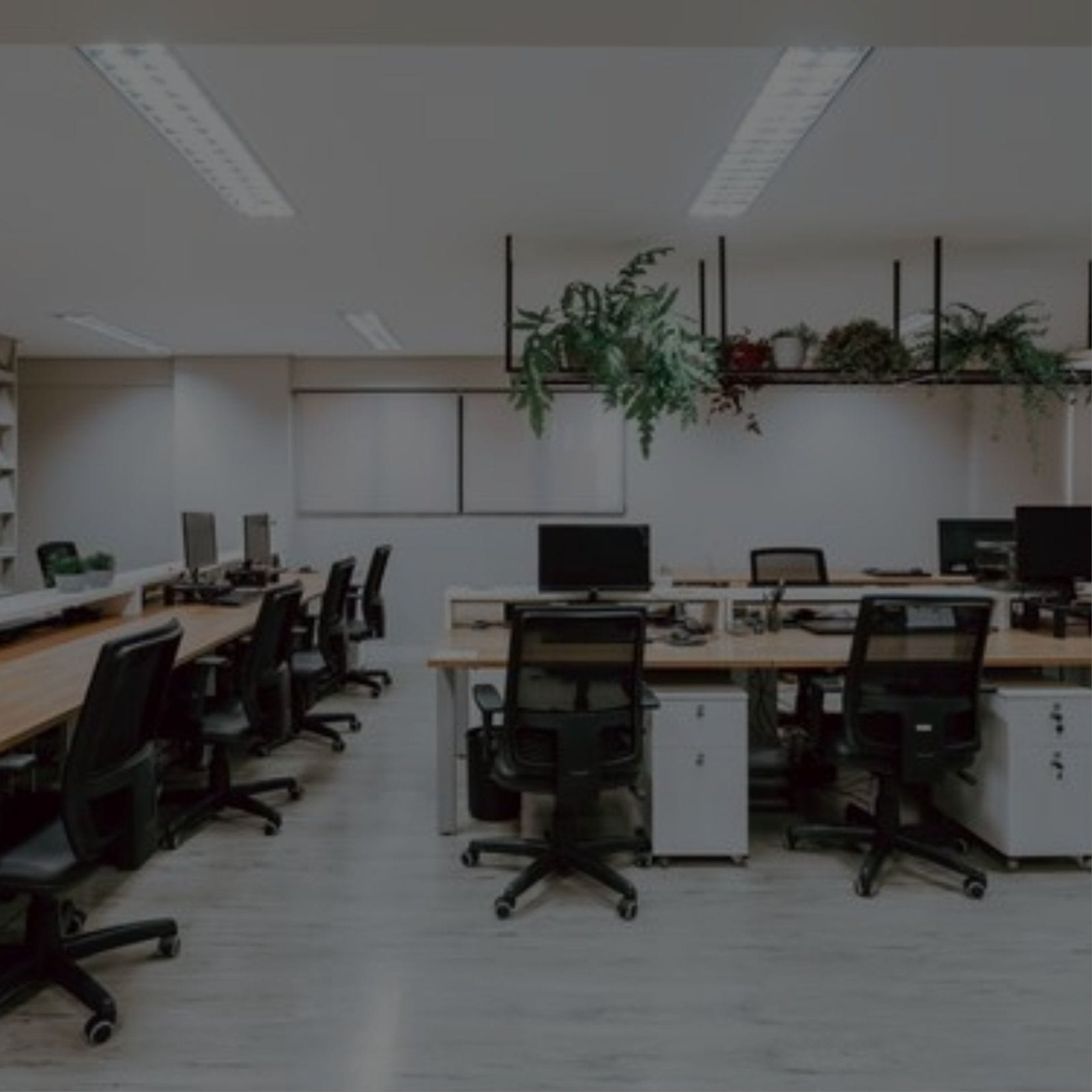 A professional workspace designed for a media company, complete with desks and chairs