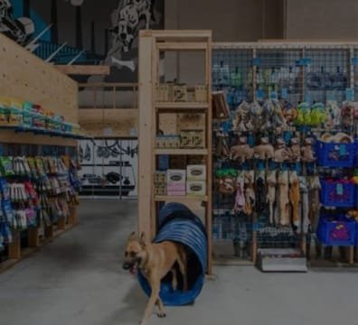 dog browsing through a variety of PET STORE ITEMS in a store.
