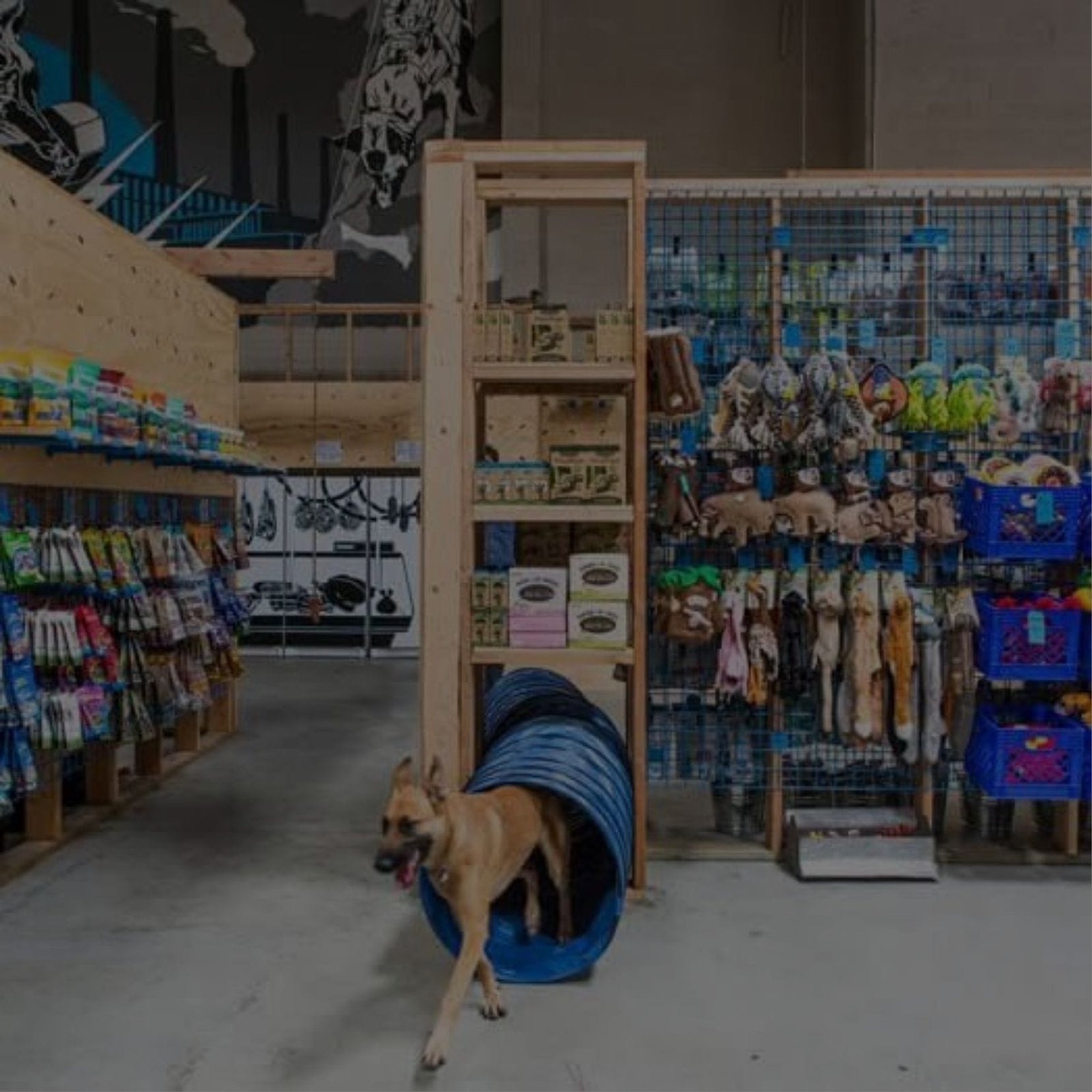 dog browsing through a variety of PET STORE ITEMS in a store.