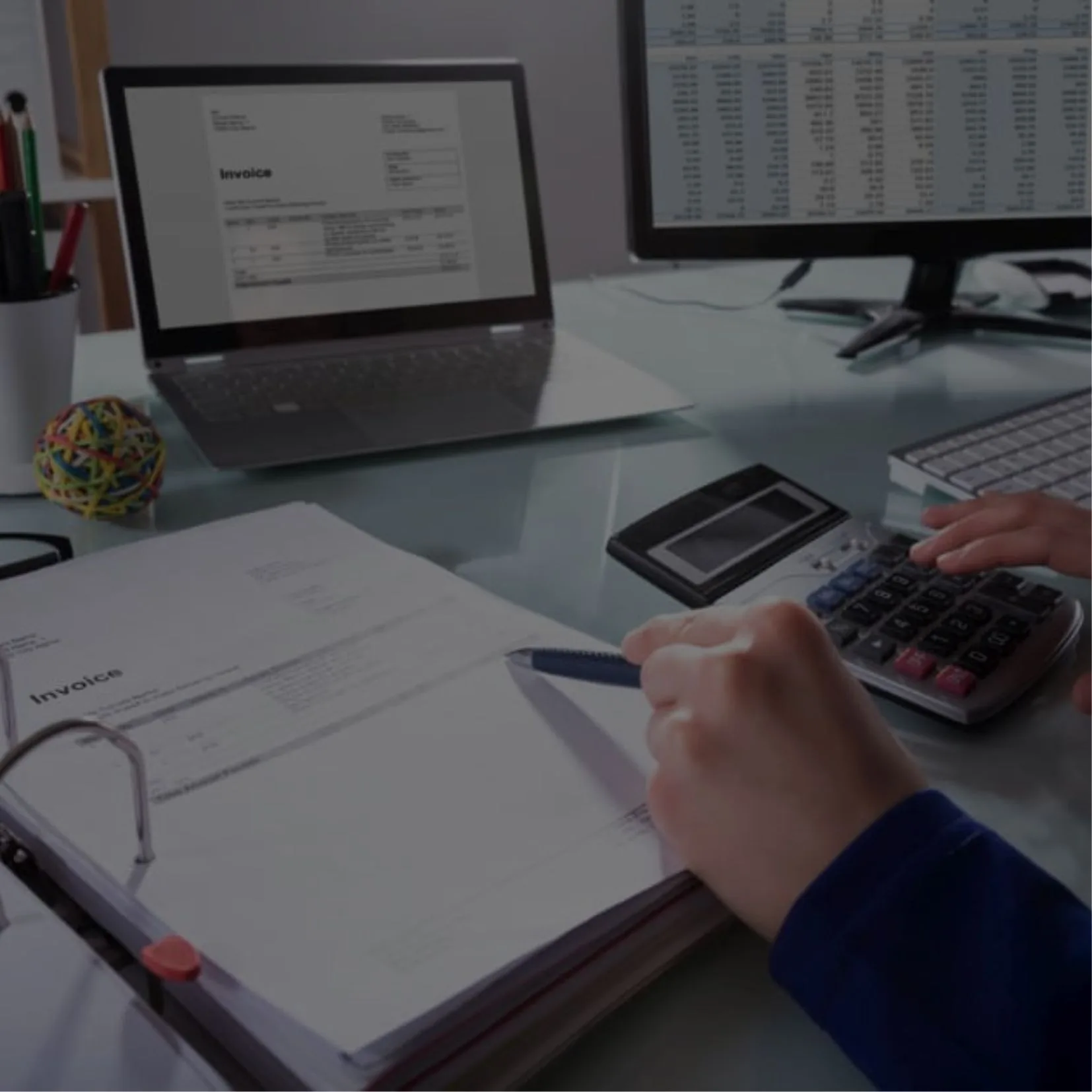 A person comparing different accounting software options for their business with the help of an accountant